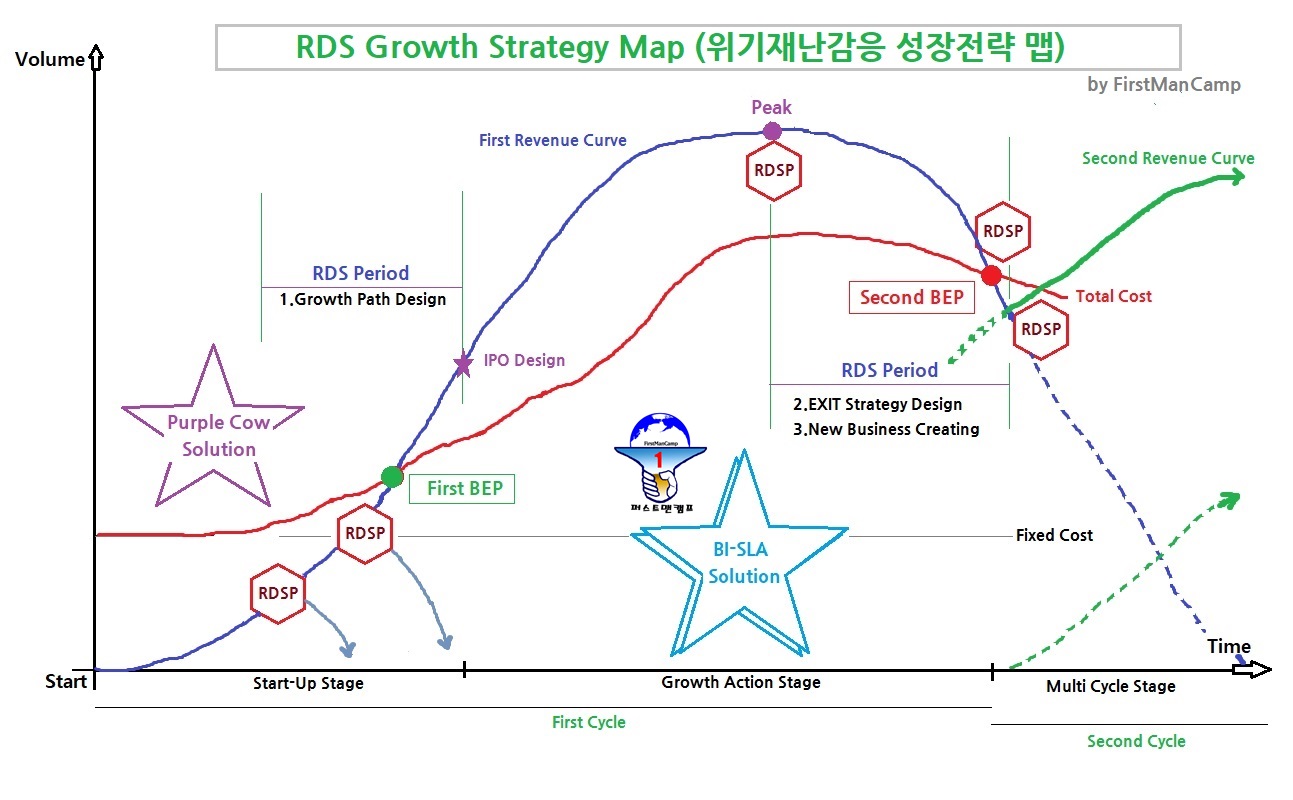 활동에 필요한 RDS 전략 맵입니다